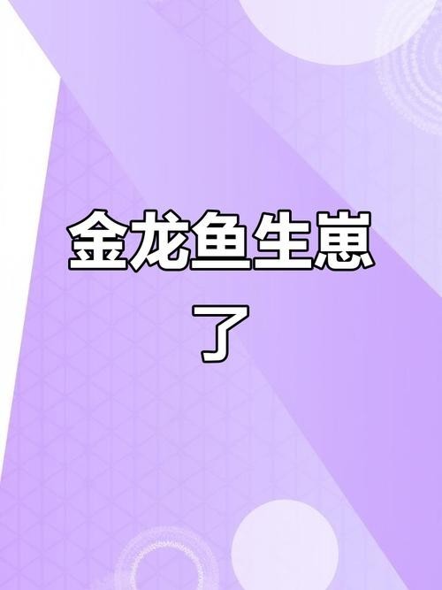 黃金龍魚圖片欣賞大全