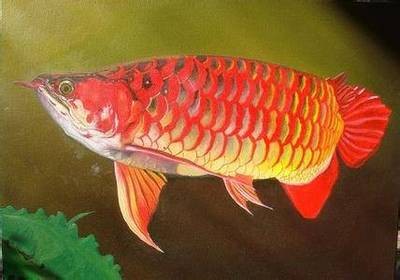 深圳市<strong><mark>光明</mark></strong>區摯合水族器材坊（深圳市<strong><mark>光明</mark></strong>區摯合水族器材坊電話號碼）