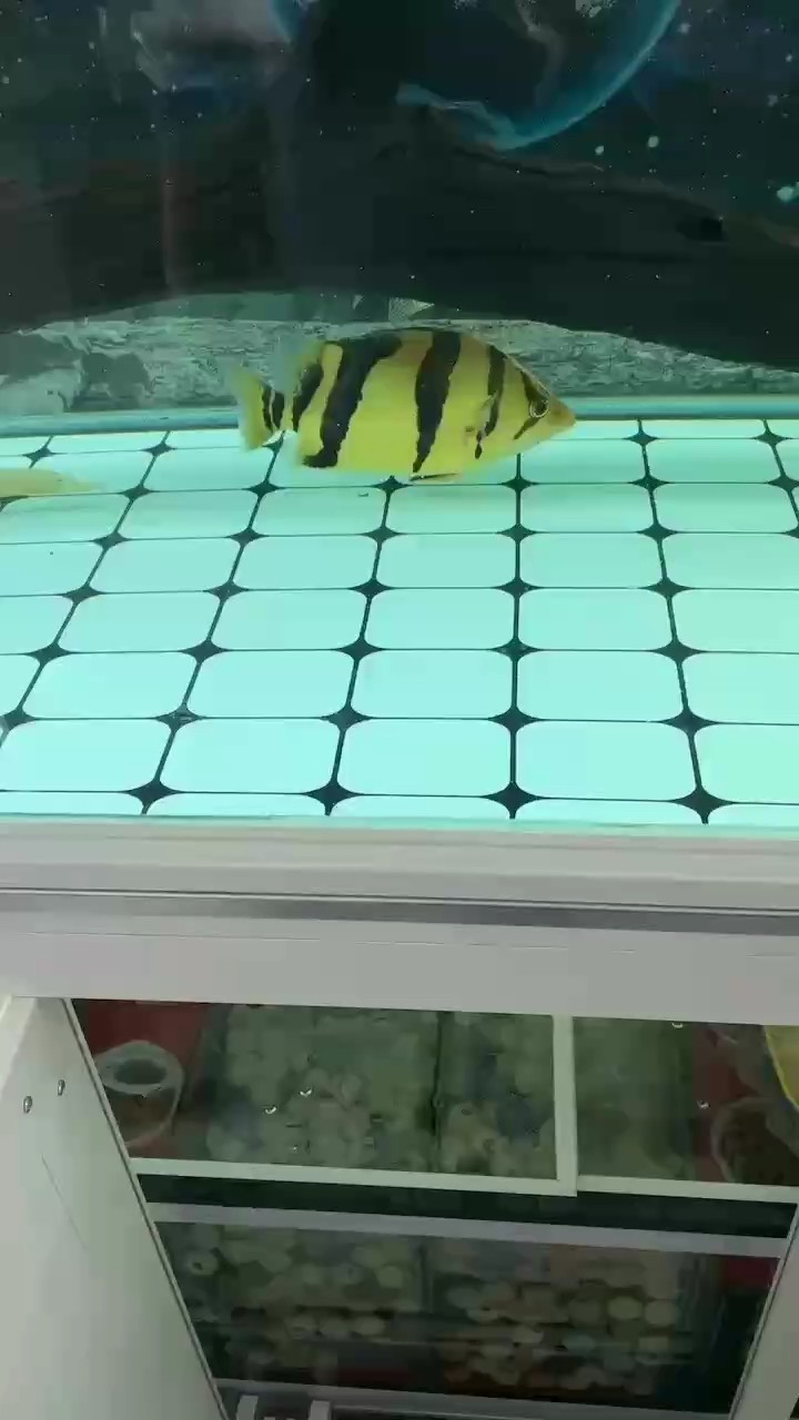 留個念想吧