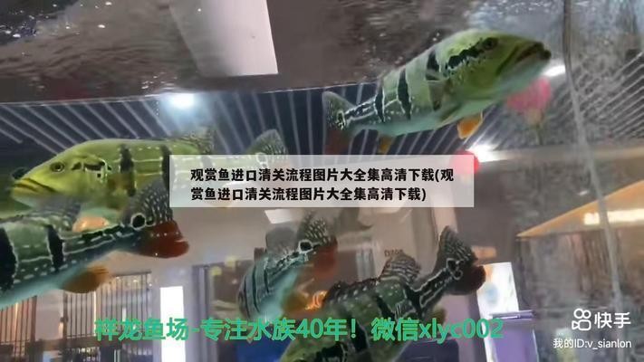 不管了，上側燈了