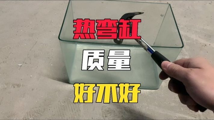 型水魚缸建議買嗎