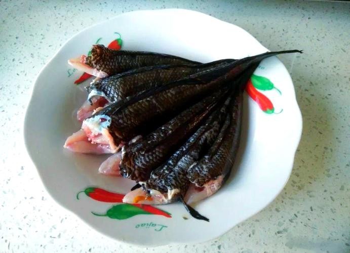 馬古龍魚的圖片大全大圖 龍魚百科 第10張 馬古龍魚的圖片大全大圖 馬古龍魚的圖片大全大圖 龍魚百科 第10張