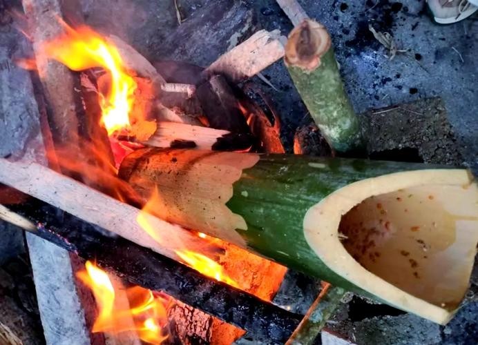 馬古龍魚的圖片大全大圖 龍魚百科 第20張 馬古龍魚的圖片大全大圖 馬古龍魚的圖片大全大圖 龍魚百科 第20張