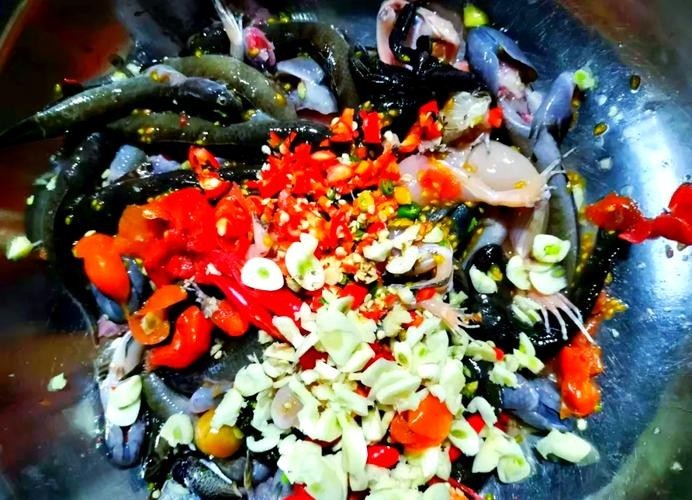 馬古龍魚的圖片大全大圖 龍魚百科 第14張 馬古龍魚的圖片大全大圖 馬古龍魚的圖片大全大圖 龍魚百科 第14張