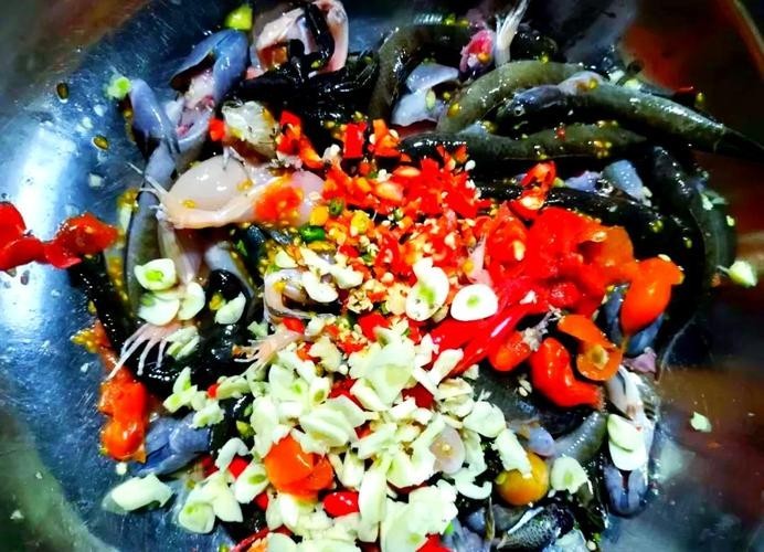 馬古龍魚的圖片大全大圖 龍魚百科 第16張 馬古龍魚的圖片大全大圖 馬古龍魚的圖片大全大圖 龍魚百科 第16張