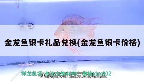 孟津縣城關(guān)鎮(zhèn)燕舞水族館（孟津縣城關(guān)鎮(zhèn)燕舞水族館電話）