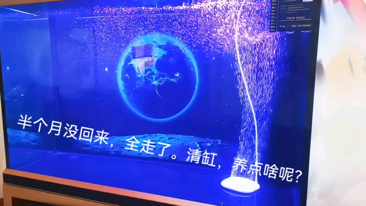 養(yǎng)啥？ 養(yǎng)啥？ 龍魚論壇