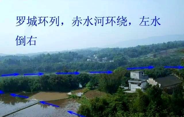 鎮龍法中哪個最有效？