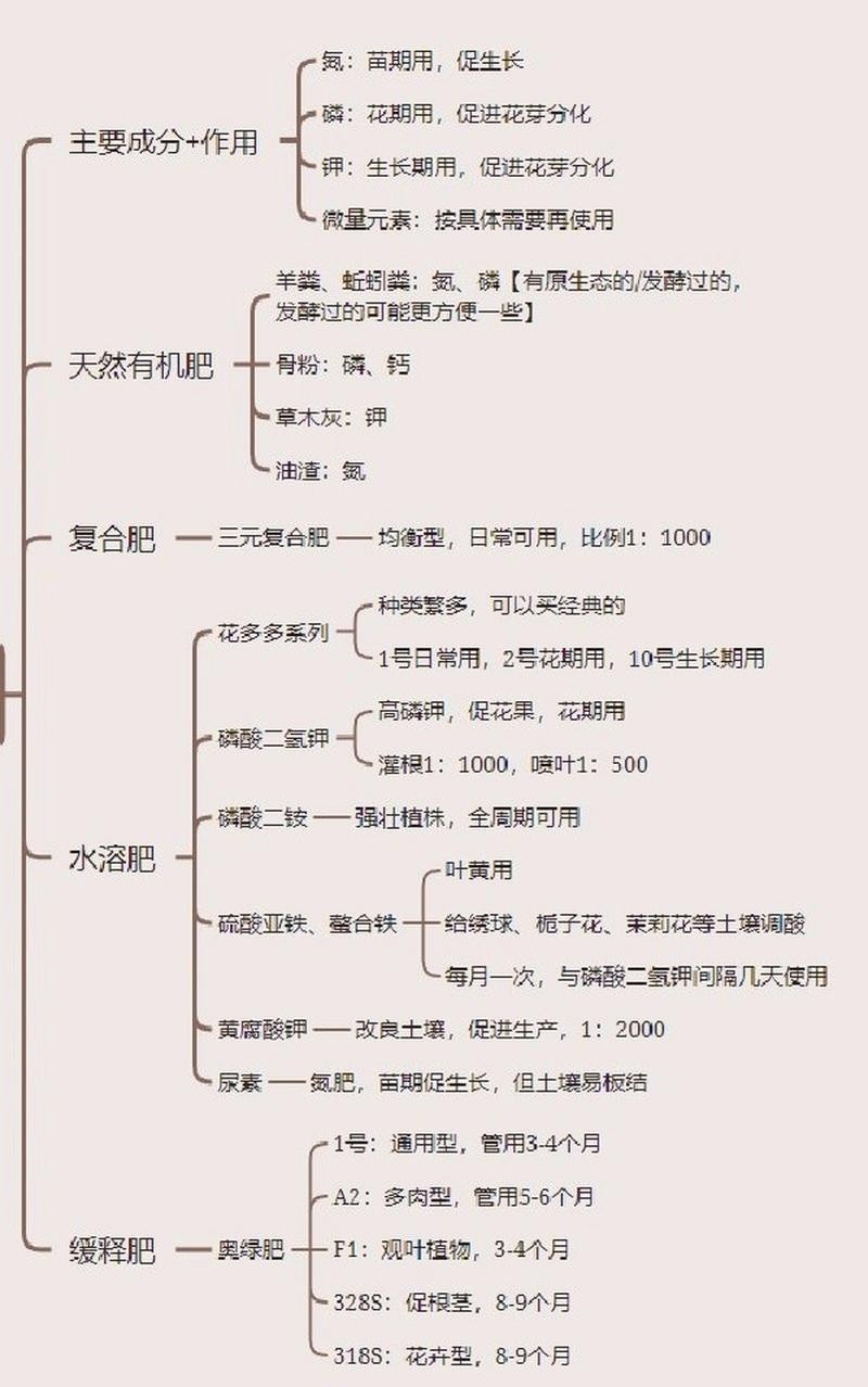 龍魚缸水草需要施肥嗎