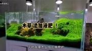 龍魚缸水草需要施肥嗎