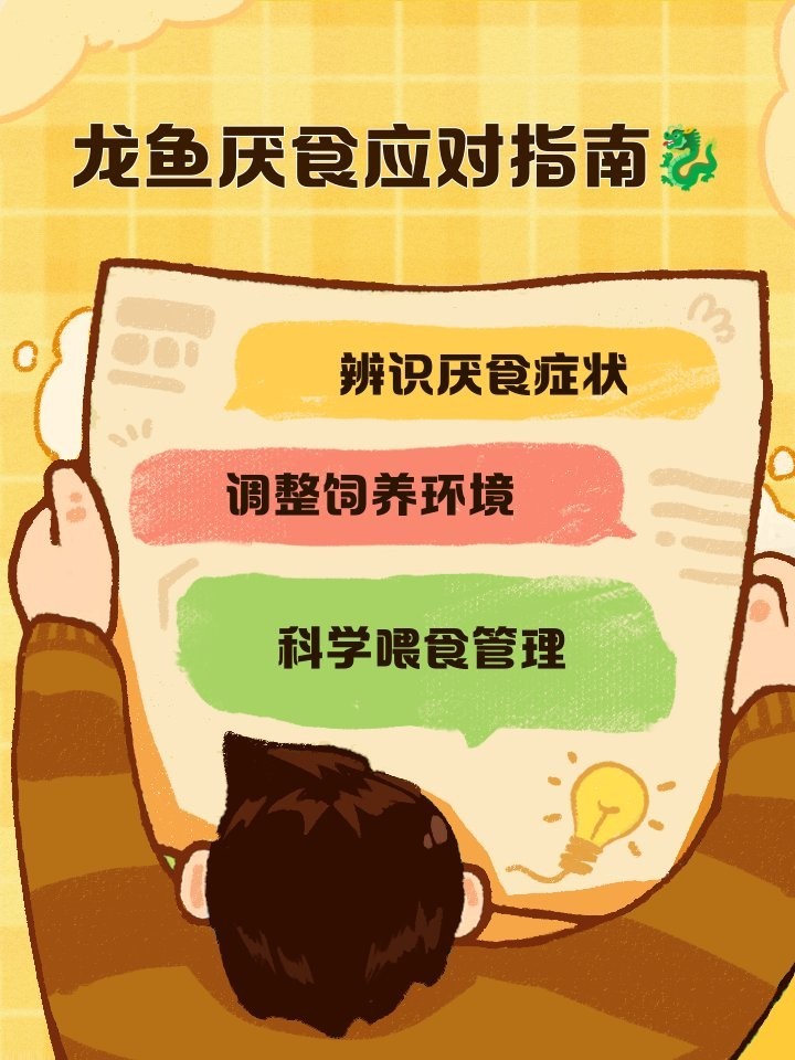 龍魚不習慣手喂怎么辦？