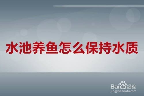 重慶珩瑞水族市場管理有限公司（重慶珩瑞水族市場管理有限公司怎么樣）