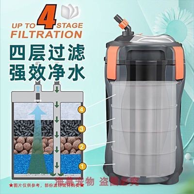 通遼市科爾沁區科爾沁大街王星水族店（通遼水族館）