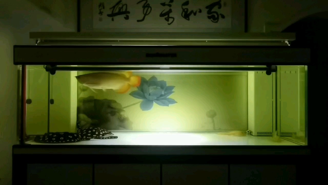 臺上臺下，皆是觀眾！