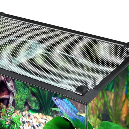 雷龍魚用什么缸好 龍魚百科 第3張 雷龍魚用什么缸好 雷龍魚用什么缸好 龍魚百科 第3張