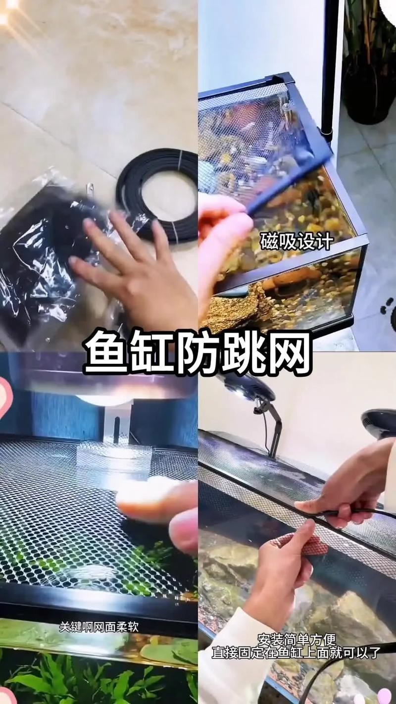 雷龍魚用什么缸好 龍魚百科 第5張 雷龍魚用什么缸好 雷龍魚用什么缸好 龍魚百科 第5張