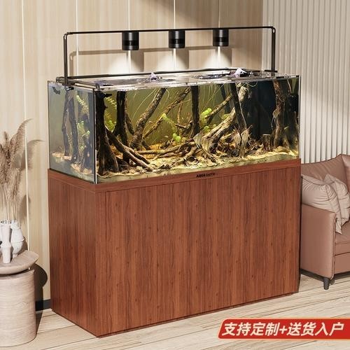 雷龍魚用什么缸好 雷龍魚用什么缸好 龍魚百科 第6張