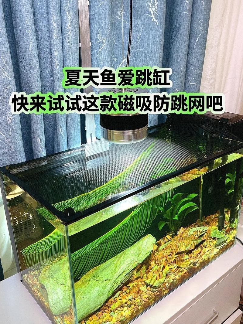 雷龍魚用什么缸好 龍魚百科 第2張 雷龍魚用什么缸好 雷龍魚用什么缸好 龍魚百科 第2張