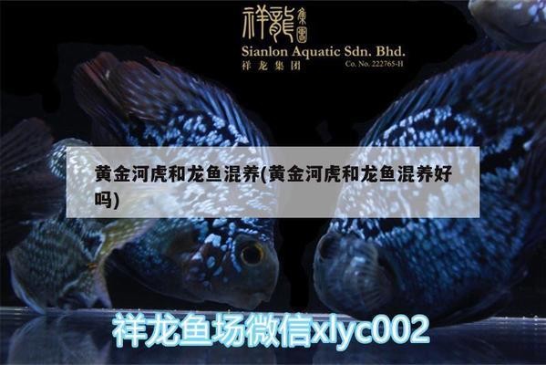 涿州市宏林水族館（涿州市宏林水族館電話）