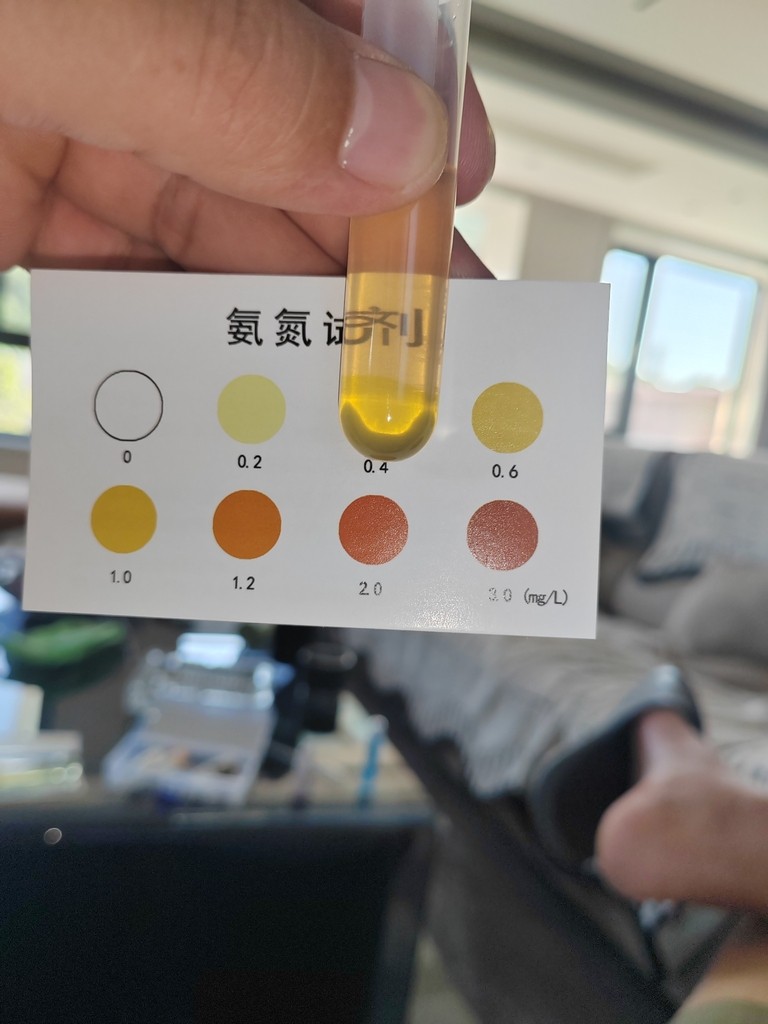 開缸20天 開缸20天 龍魚論壇 第2張