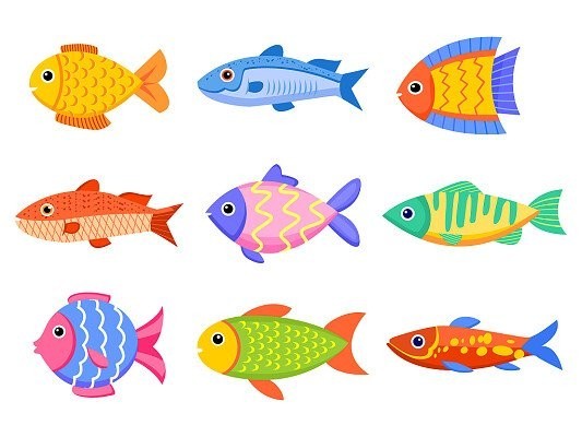 銀龍魚圖片大全高清壁紙可愛