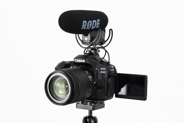 海興縣可愛麗水族店（海興縣可愛麗水族店電話）