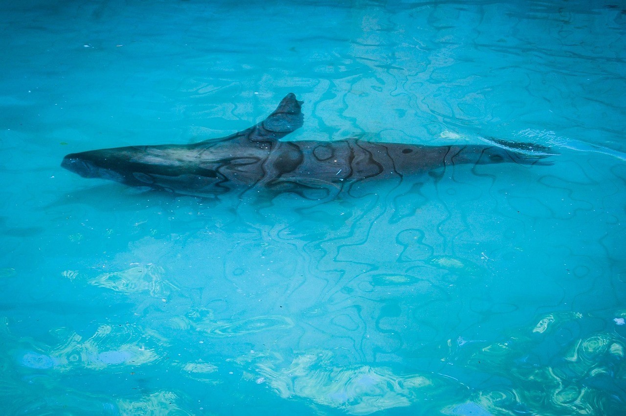 三亞水族館