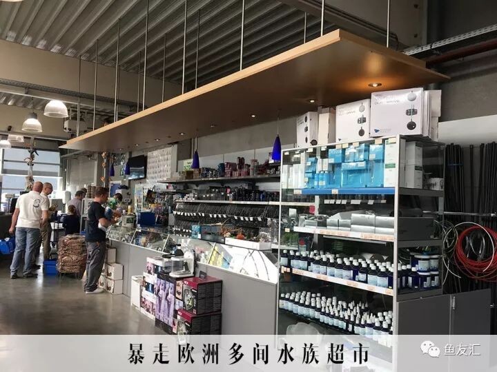 賣了8條龍魚，卻可能要坐30年的牢