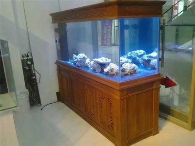 汕尾市城區零加壹水族館（汕尾市城區零加壹水族館電話）