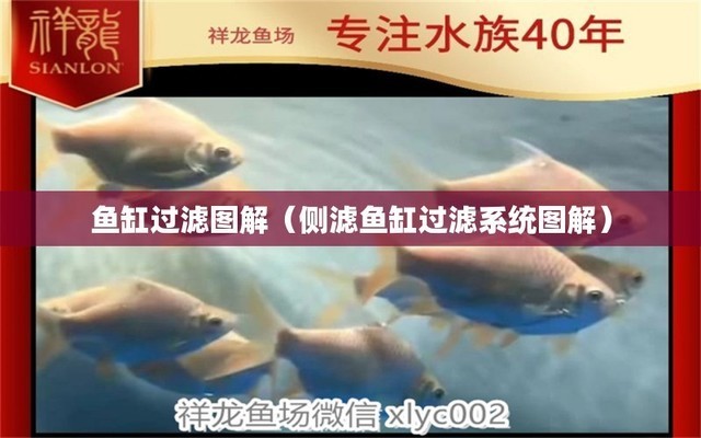梁溪區大魚海棠水族器材商行（大魚海棠海鮮小館(十區店)怎么樣）