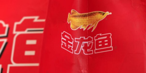 濱海縣東坎街道茗水魚缸店