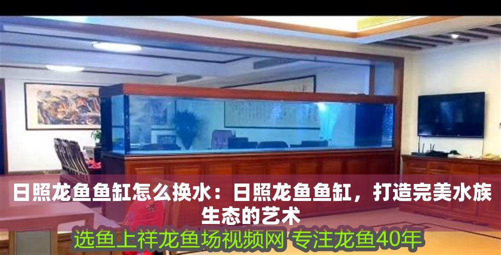 日照龍魚魚缸怎么換水：日照龍魚魚缸，打造完美水族生態的藝術