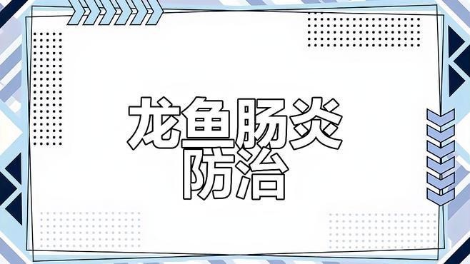 紅龍魚腸炎病有哪些并發(fā)癥