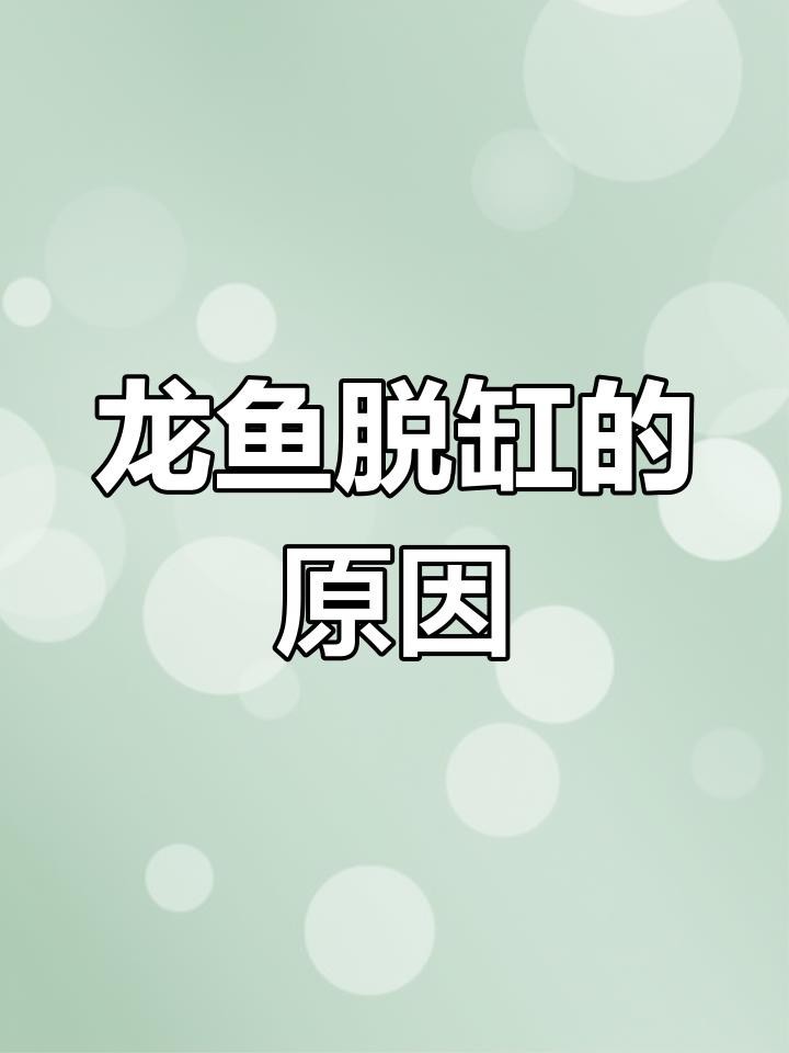 紅龍魚腸炎病有哪些并發(fā)癥