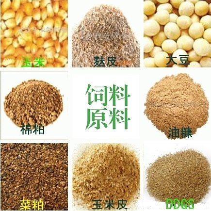 飼料原料目錄清單表(最新) 飼料原料目錄清單表(最新) 龍魚論壇 第1張