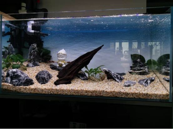 好點的魚缸都有哪些品種（好點的魚缸有哪些品種）