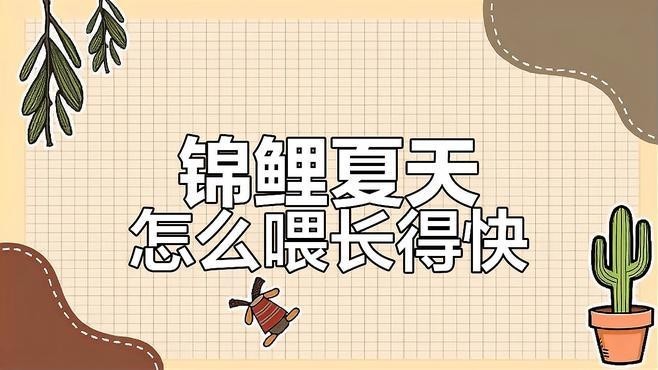 龍魚和錦鯉的喂食頻率應該是多久一次？