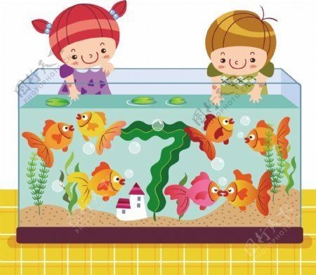 魚缸100張照片(關于魚缸圖片的資源) 魚缸百科 第3張 魚缸100張照片(關于魚缸圖片的資源) 魚缸100張照片(關于魚缸圖片的資源) 魚缸百科 第3張