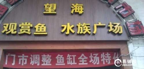 海洋生物魚缸批發價格：海城魚缸養護指南養護指南養護指南