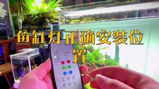 龍魚缸側燈裝在什么位置