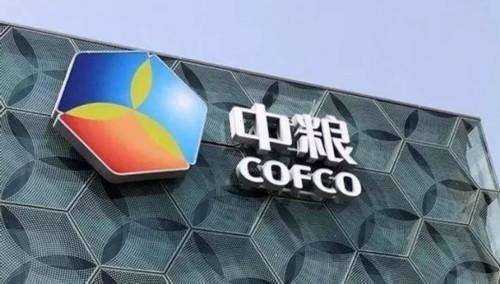 金龍魚是央企還是國企