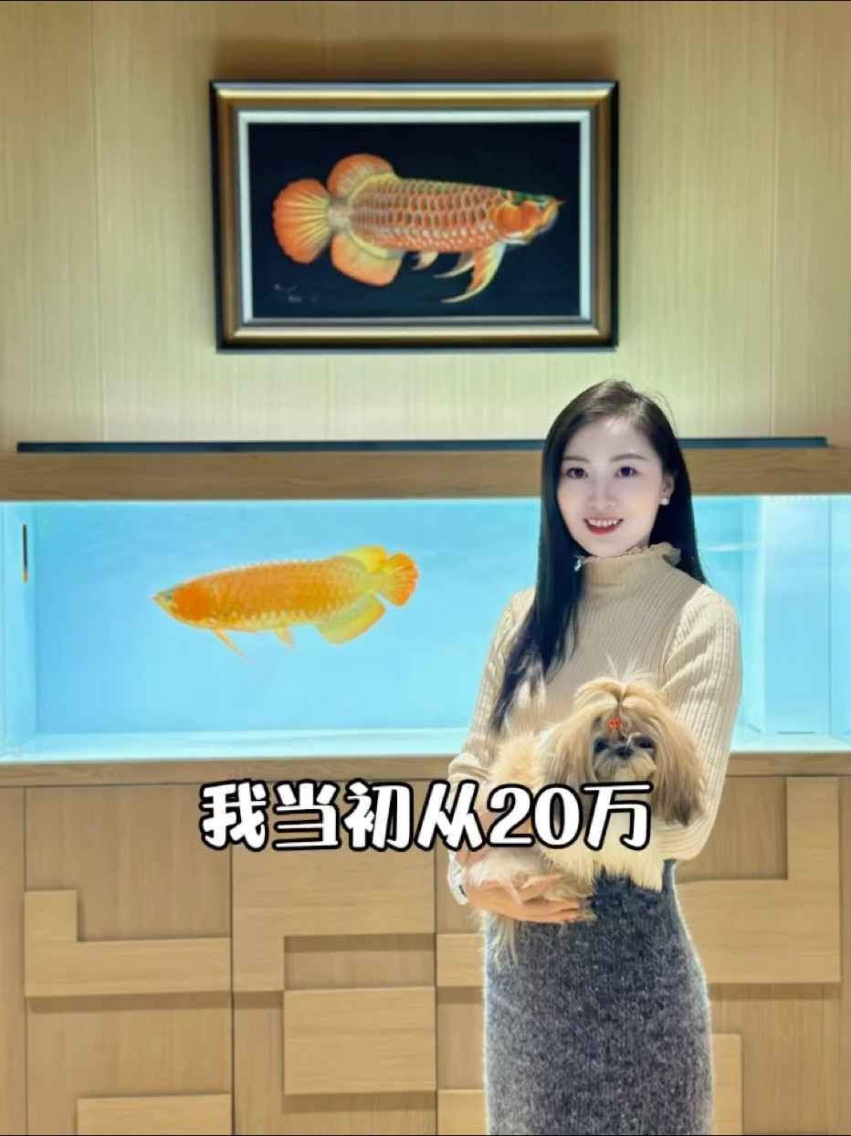 我當初從20萬#我當初只有二十萬 #萬隆天王紅龍 #龍魚 #觀賞魚 我當初從20萬#我當初只有二十萬 #萬隆天王紅龍 #龍魚 #觀賞魚 龍魚論壇
