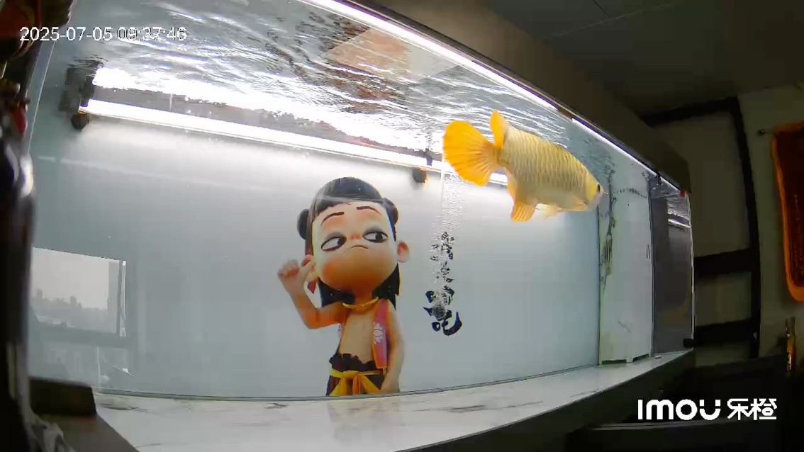 還達(dá)不到理理即狀態(tài)
