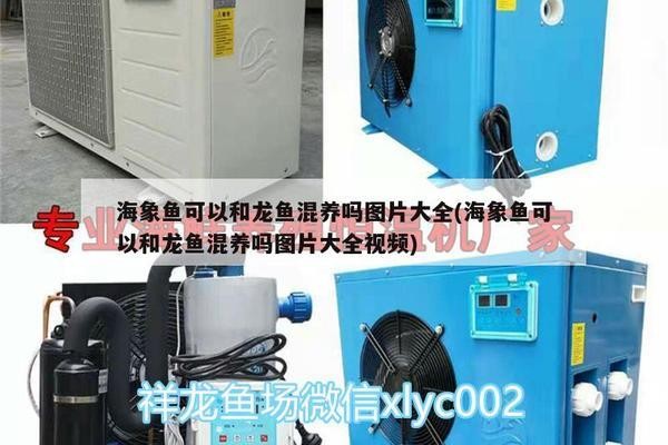 <strong><mark>北安</mark></strong>市珊瑚水族館（<strong><mark>北安</mark></strong>市珊瑚水族館電話）
