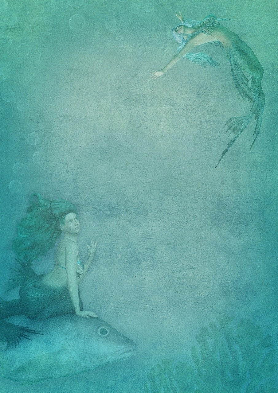黑影道人魚咬其他的魚