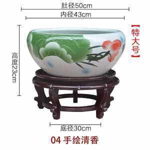 紅龍魚哪個品種最好看（紅龍魚哪個品種最好看圖片）