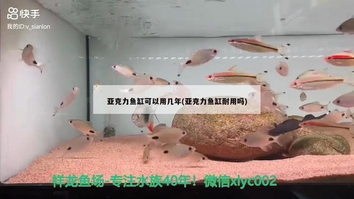 招遠市草堂花卉水族坊（招遠市草堂花卉水族坊地址） 招遠市草堂花卉水族坊（招遠市草堂花卉水族坊地址） 全國水族館企業名錄