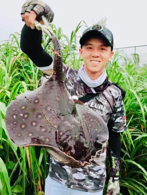 龍魚缸還能養(yǎng)什么魚圖片