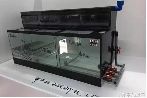 古法魚缸水渾怎么辦（古法魚缸水渾濁問題通常由多種因素引起古法魚缸水渾濁問題）