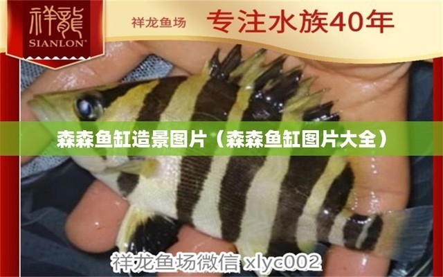 景德鎮(zhèn)陶瓷魚缸批發(fā)市場(chǎng)在哪里（景德鎮(zhèn)陶瓷魚缸價(jià)格范圍）